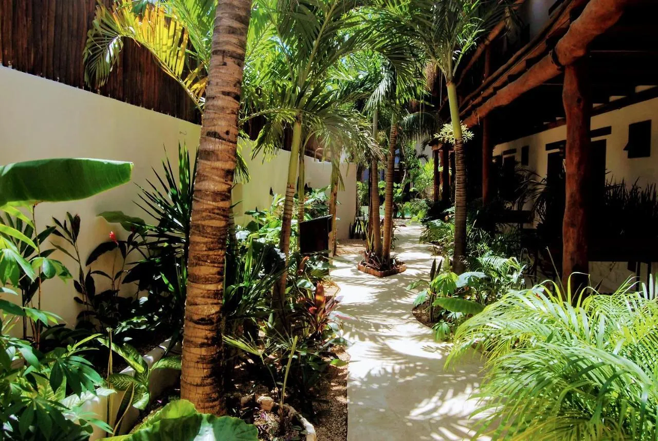Hotel Boutique Terranova Tulum Pueblo