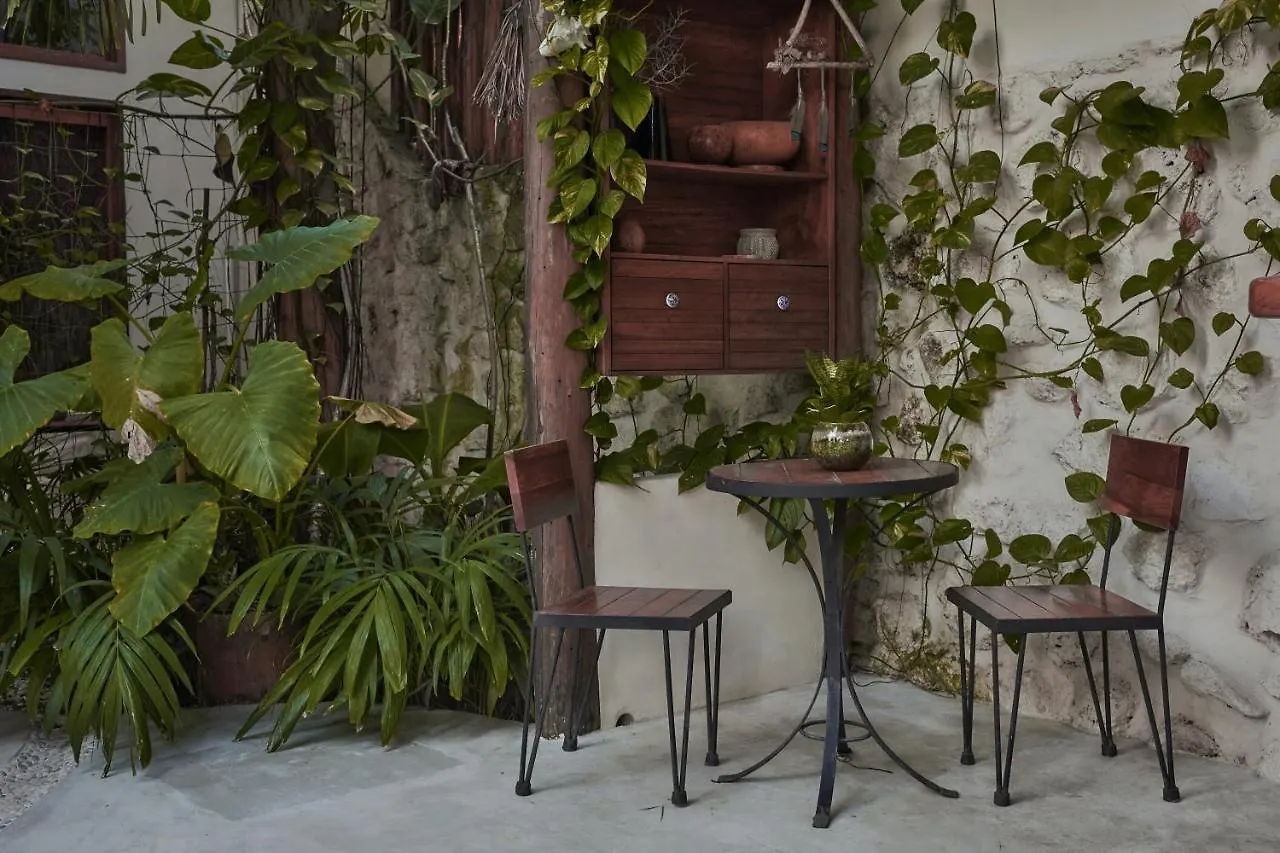 Hotel Boutique Terranova Tulum 2*,