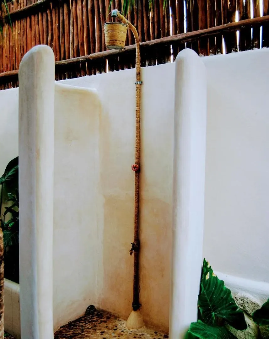 **  Hotel Boutique Terranova Tulum México