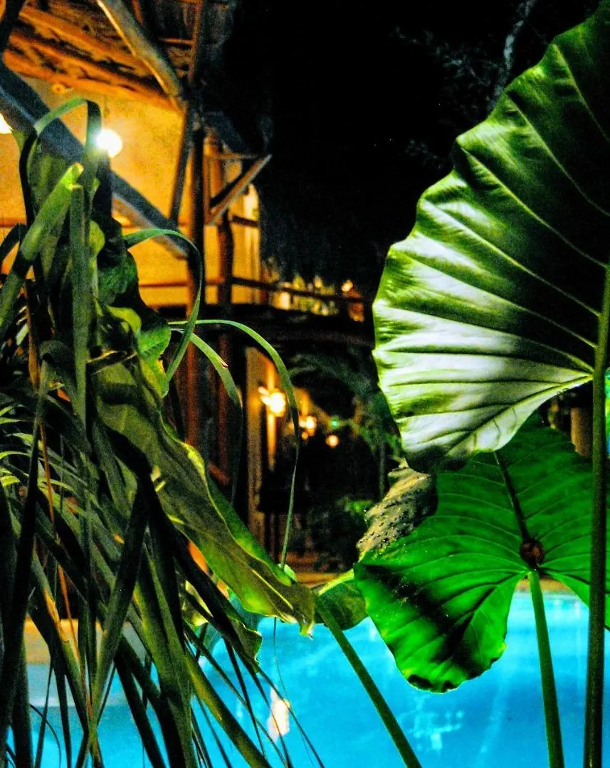 **  Hotel Boutique Terranova Tulum Mexico