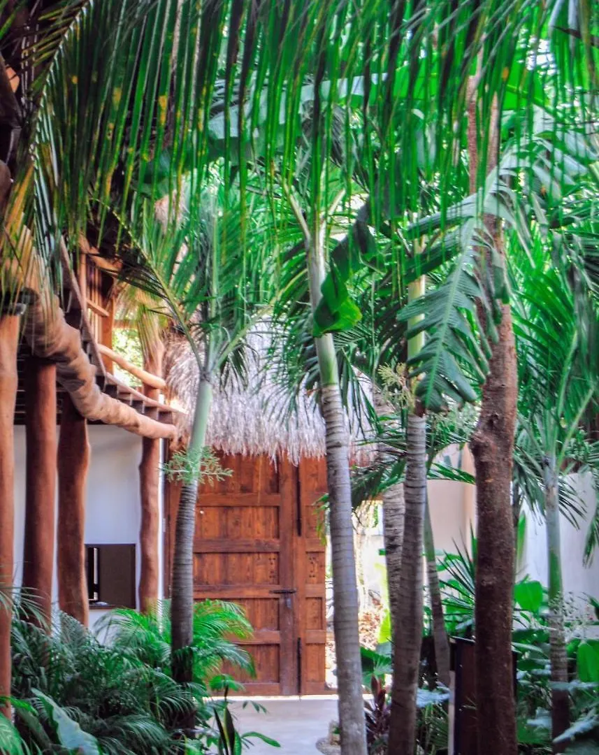 Hotel Boutique Terranova Tulum