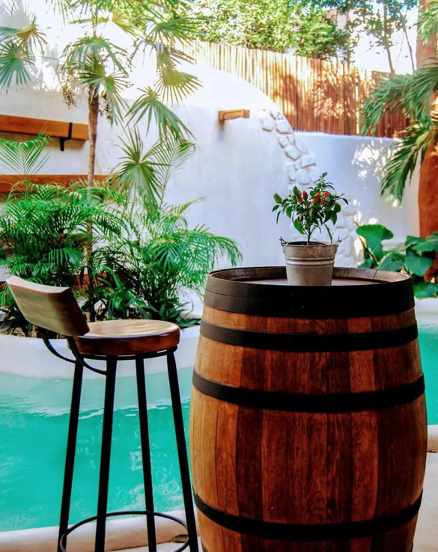 Hotel Boutique Terranova Tulum
