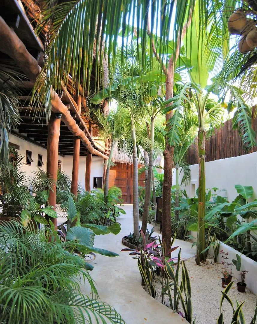 Hotel Boutique Terranova Tulum 2*,  Mexico