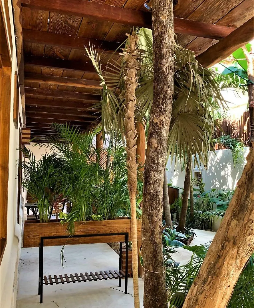 Hotel Boutique Terranova Tulum Mexico