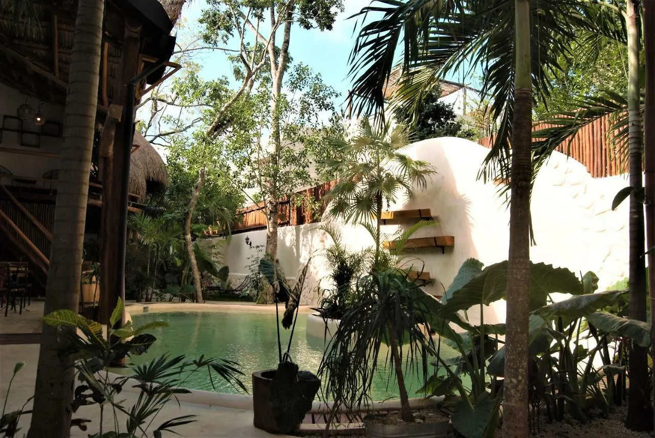 **  Hotel Boutique Terranova Tulum Mexico
