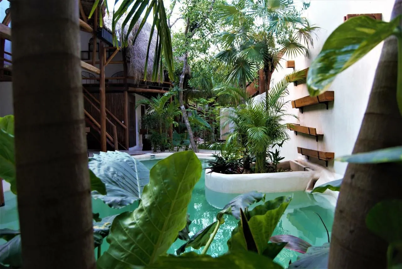 Hotel Boutique Terranova Tulum 2*,
