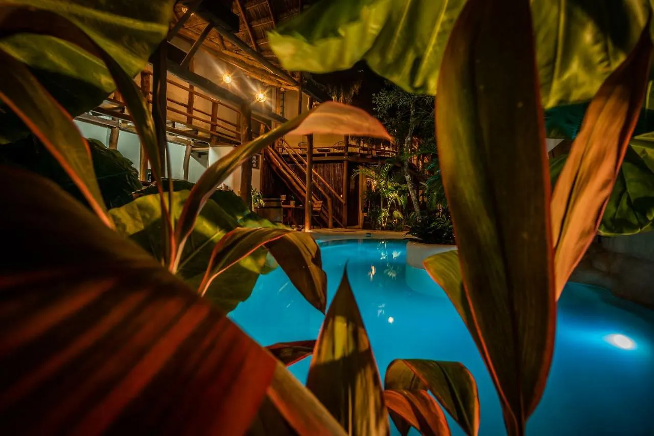 Hotel Boutique Terranova Tulum México